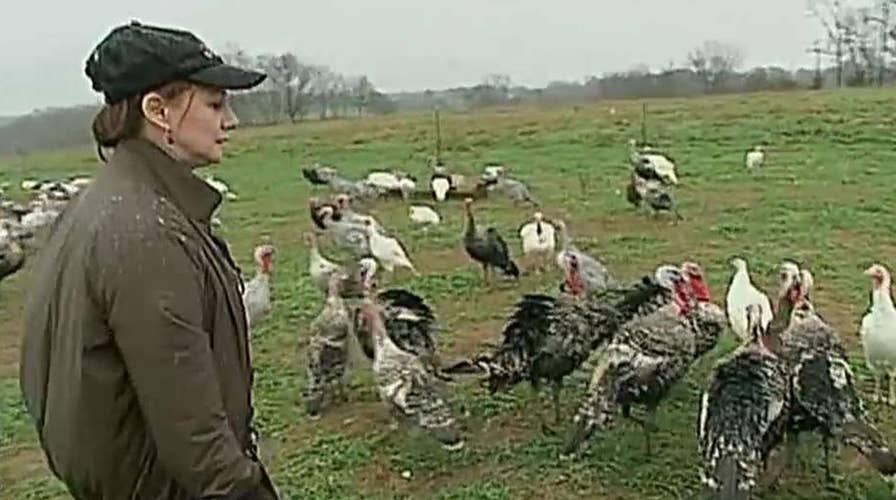 From tech titan to turkey farmer