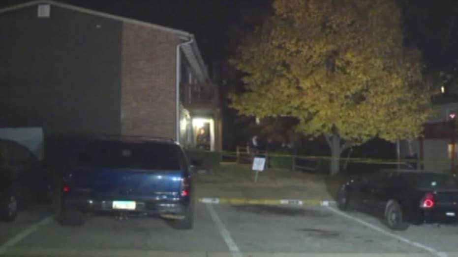 Dramatic Sevierville Home Invasion: Man Shoots, Kills Intruder (It'S A Bear!) - u2wc488