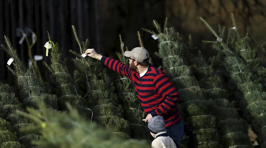 Experts: You may pay more for your Christmas tree this year