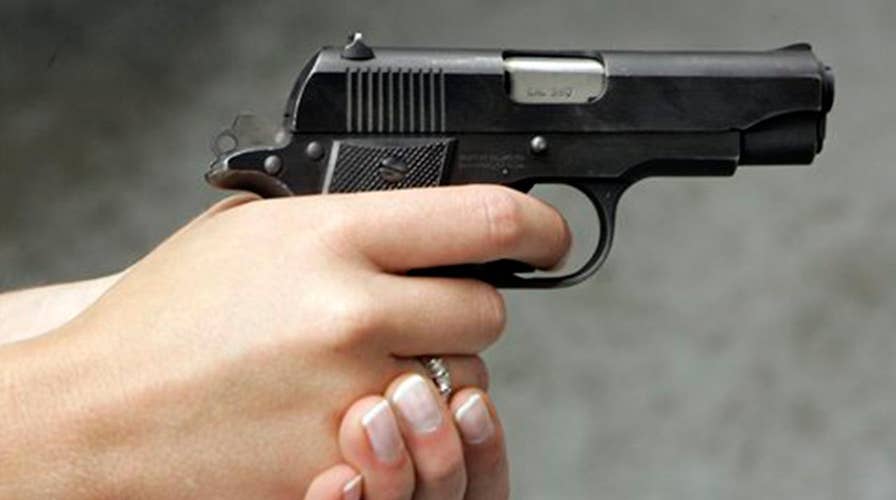 Judiciary Committee takes up two gun bills