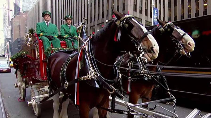 Budweiser Clydesdales kick off holiday season with US tour