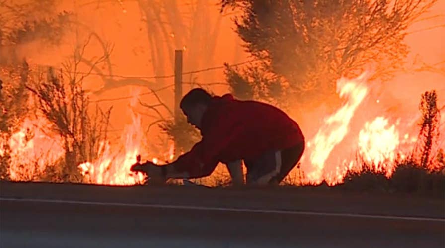 Driver pulls over to save rabbit as blaze rages by highway