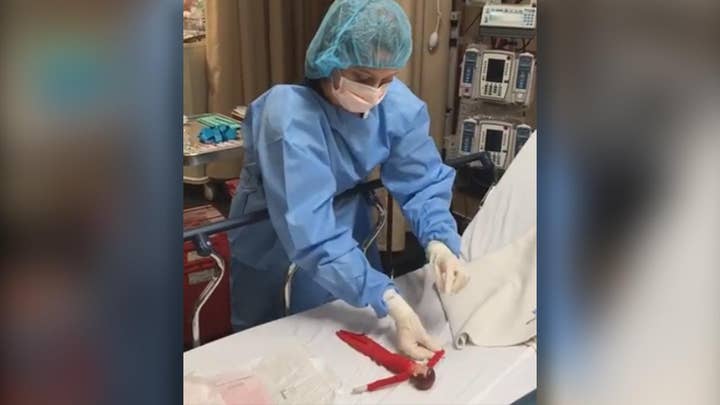Elf on a Shelf brought to hospital for 'emergency surgery'
