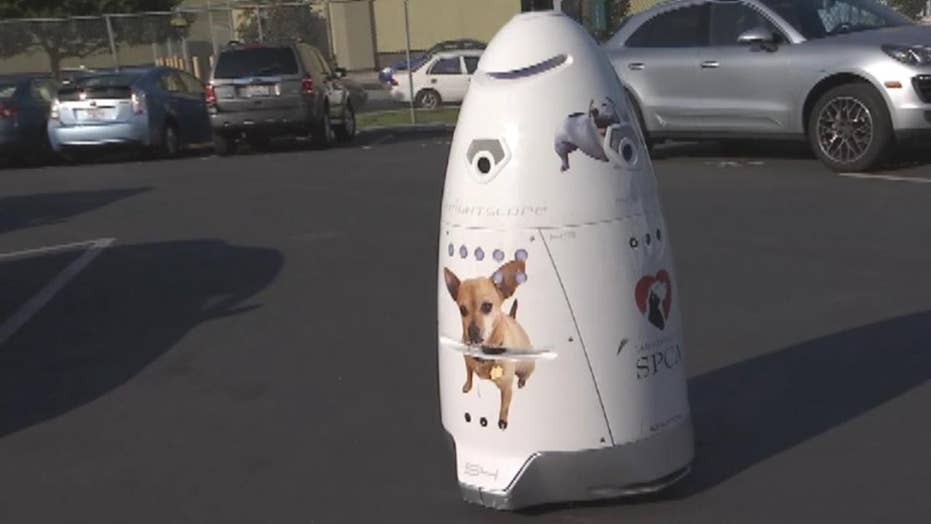 robot security guard