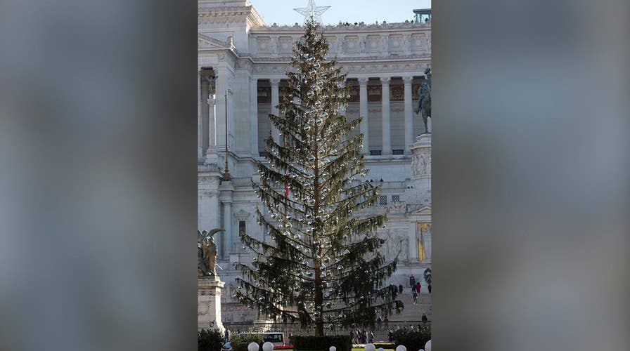 Romes Baldy Christmas Tree Mocked By Locals As Worlds Saddest