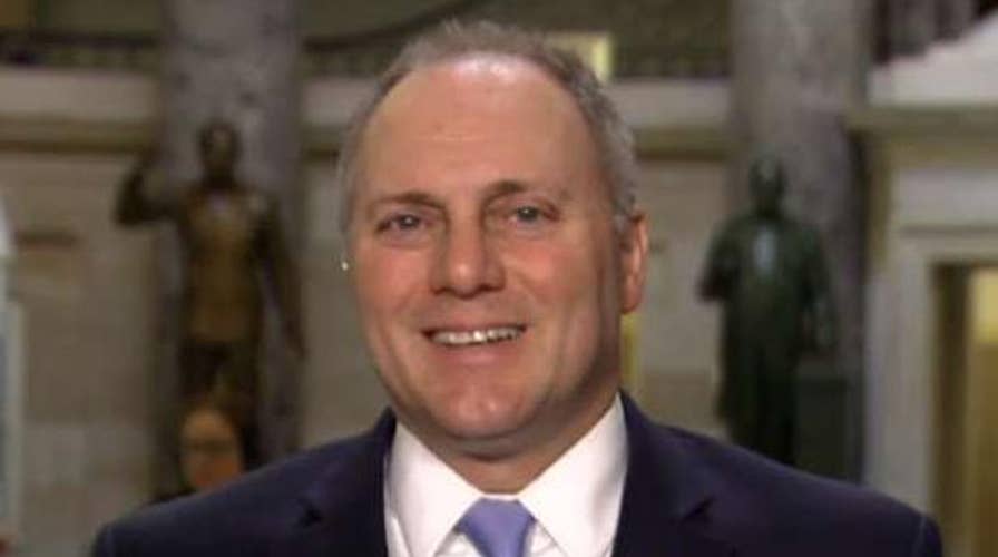 Scalise: The economy will take off with tax reform