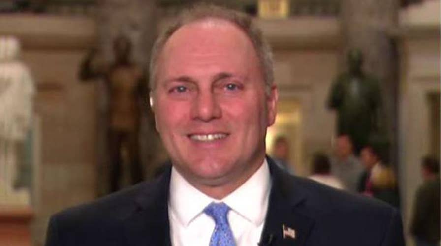 Scalise: Every single income bracket will see taxes go down