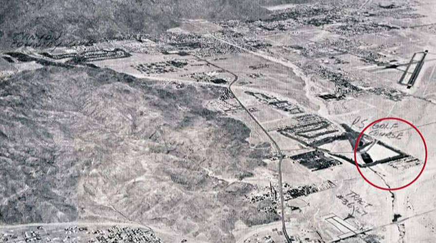 'Racist' trees cause controversy in Palm Springs