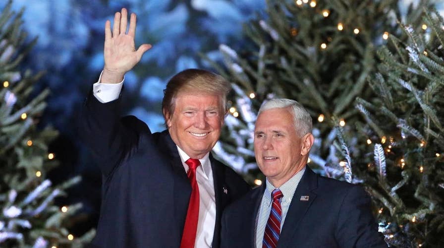 President Trump marks first Christmas in office
