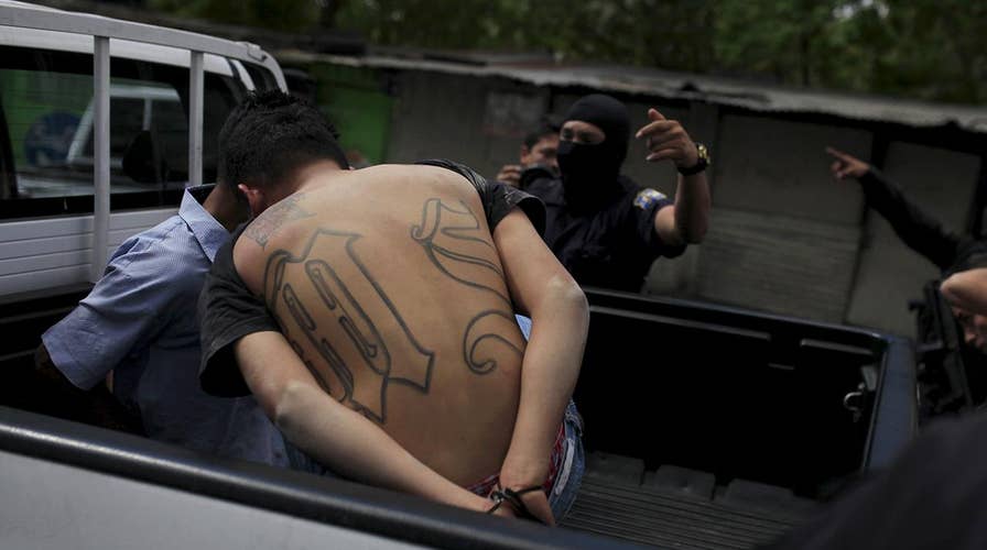MS-13 gang presence grows in Maryland