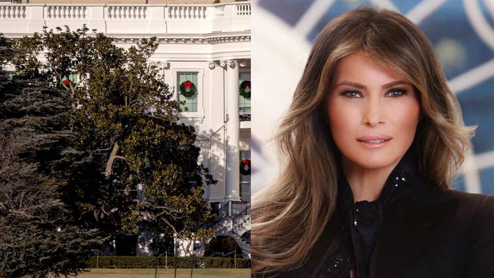 Melania Trump, Jackson Magnolia tree controversy