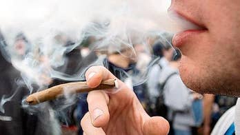 Legalizing marijuana could lead to police K9 dogs being killed, Illinois official warns