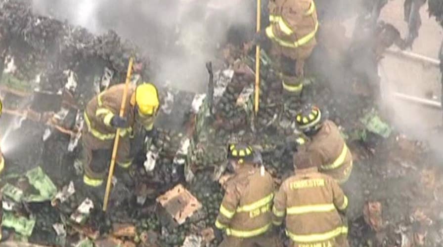 40,000 pounds of avocados spill onto Texas highway