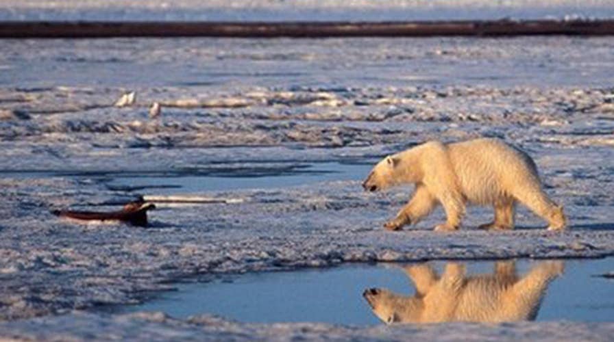 President Trump, Sen. Warren sound off on climate change