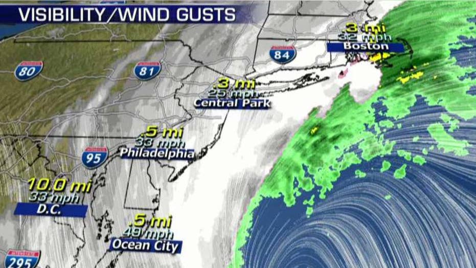 'Bomb cyclone' causes flight cancellations at New York's JFK, LaGuardia airports Fox News