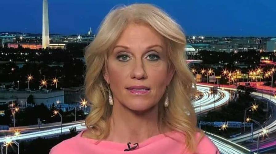 Kellyanne Conway talks immigration battle, DACA debate