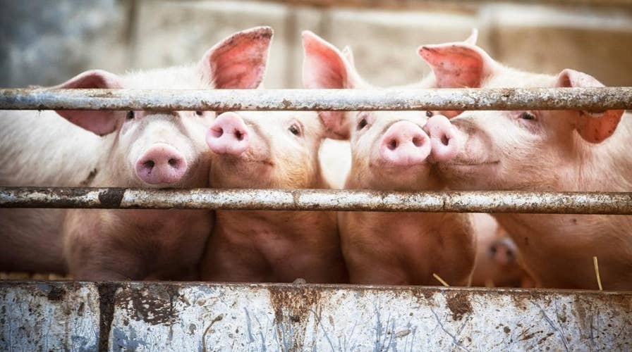 What are earmarks, aka ‘pork-barrel’ spending?