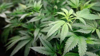 Oregon lawmakers sign 2 laws to deal with massive marijuana surplus