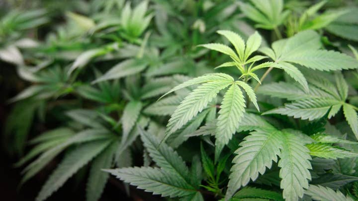 Dr. Alvarez: It's time to legalize marijuana and move on