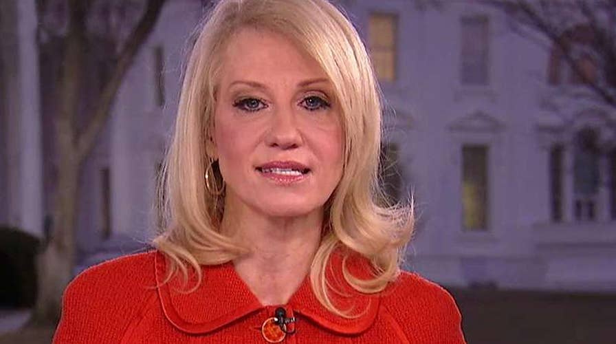 Kellyanne Conway slams Dems' resistance to Trump's agenda