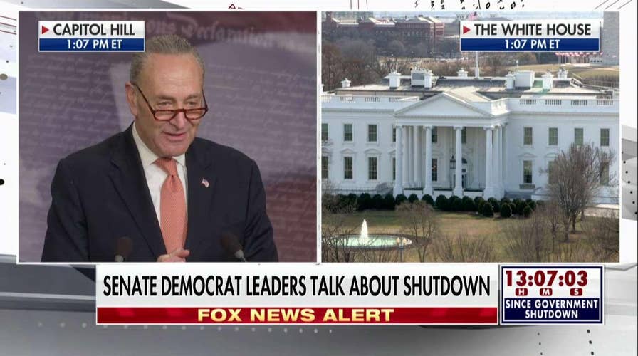 Chuck Schumer Criticizes Trump at Press Conference