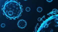 How are the cold and flu different?