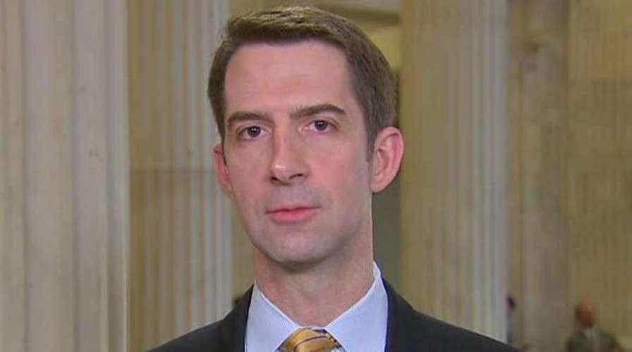 Sen. Cotton on where compromise can be found on immigration