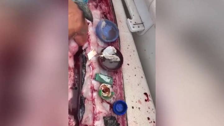Shocking video: Gutted fish reveals trash, bottle caps, lighter