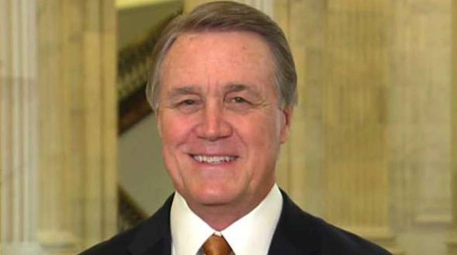 Sen. Perdue: Dems out of touch with Americans on immigration