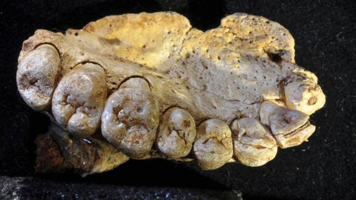 Earliest modern human fossil discovered in Israel