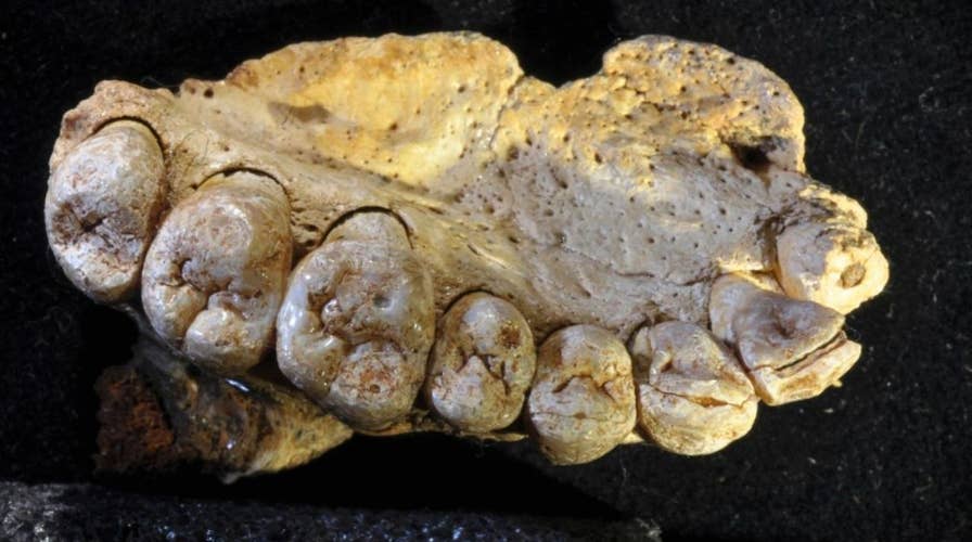 Earliest modern human fossil discovered in Israel