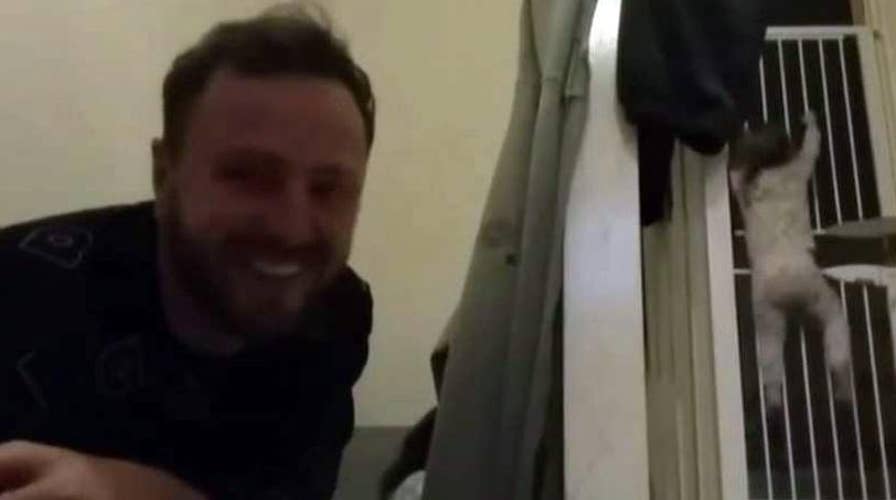 Determined toddler scales 2 baby gates in bedtime jailbreak