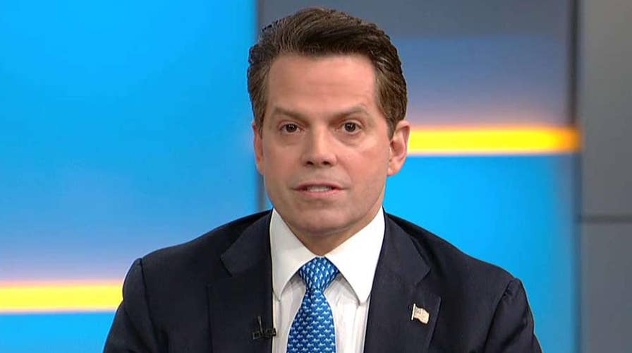Scaramucci: Democrats try to disfigure, dehumanize Trump