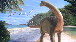 'Holy Grail' of dinosaurs discovered in Sahara desert - Fox News