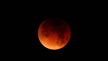 Super blue blood moon delights skywatchers