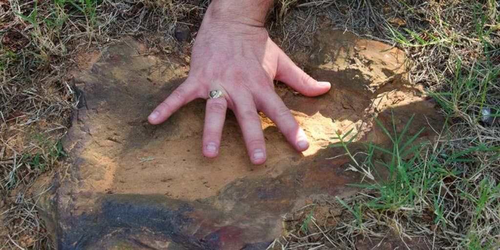 Footprint Find Could Be a Holy Grail of Pterosaur Research