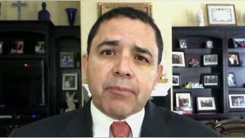 Democrat and ex-CIA: Democrats are hurting themselves in dismissing FBI memo