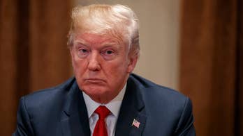 Trump says he'd 'love to see a shutdown' if Dems won't back immigration changes