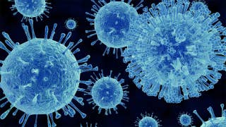 What is norovirus? - Fox News