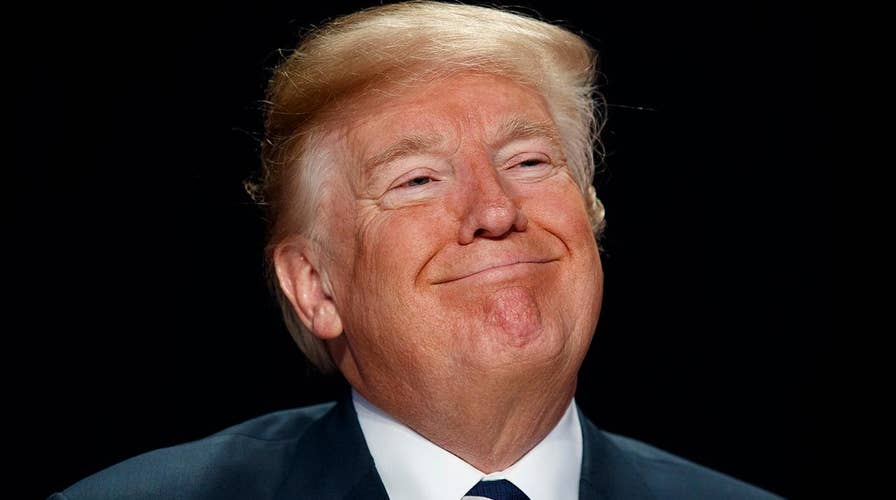 Raj Shah: Trump's ideas are getting the economy moving