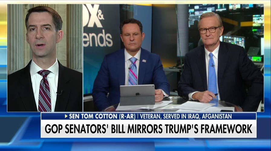 Tom Cotton on Immigration Bill