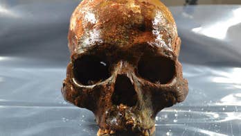 Gruesome mystery: 8,000-year-old skulls found impaled on wooden stakes