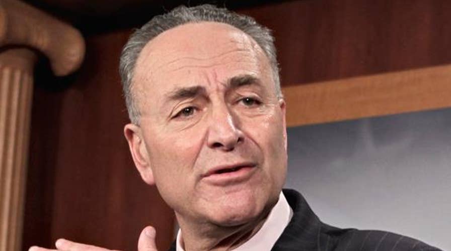 Schumer warns Democrats: You can't just be anti-Trump