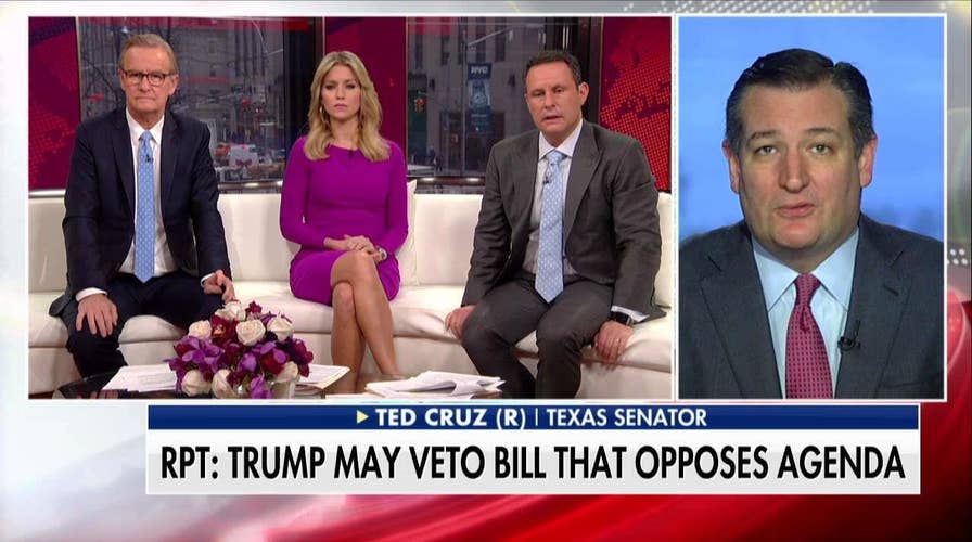 Cruz blasts GOP proposal on Dreamers.