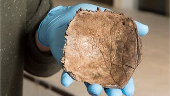 'Oldest Dutchman' discovered: Fishermen find prehistoric skull in North Sea