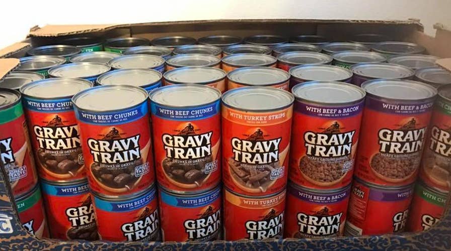 Is gravy train clearance dry dog food safe