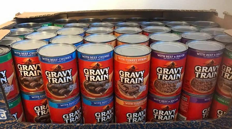 Euthanasia drug found in dog food