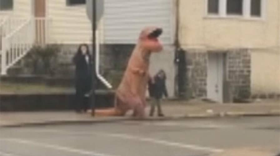 Police respond to reports of dinosaur on the loose