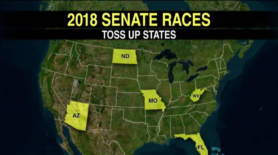 Balance of power: key races ahead of November elections