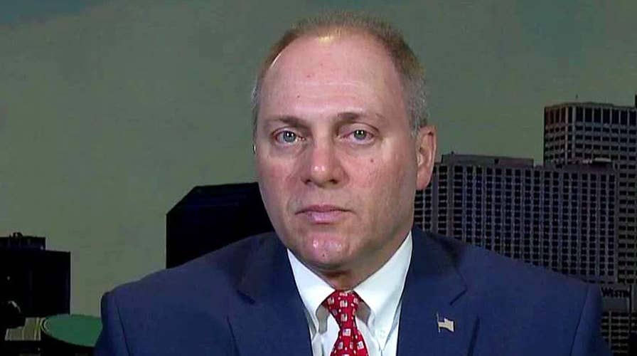 Rep. Steve Scalise on the immigration battle, guns debate